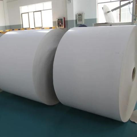 PE coated cupstock board