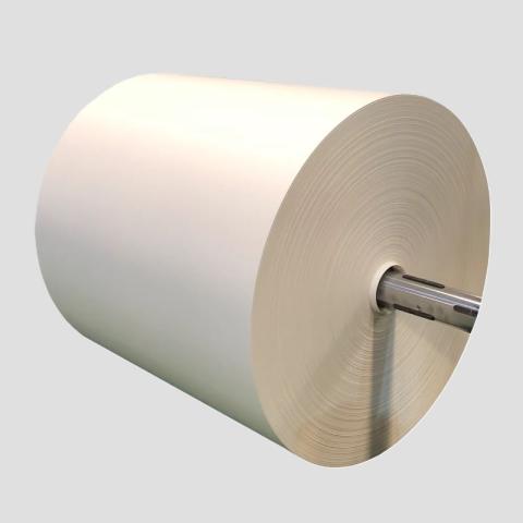 PE coated white kraft paper