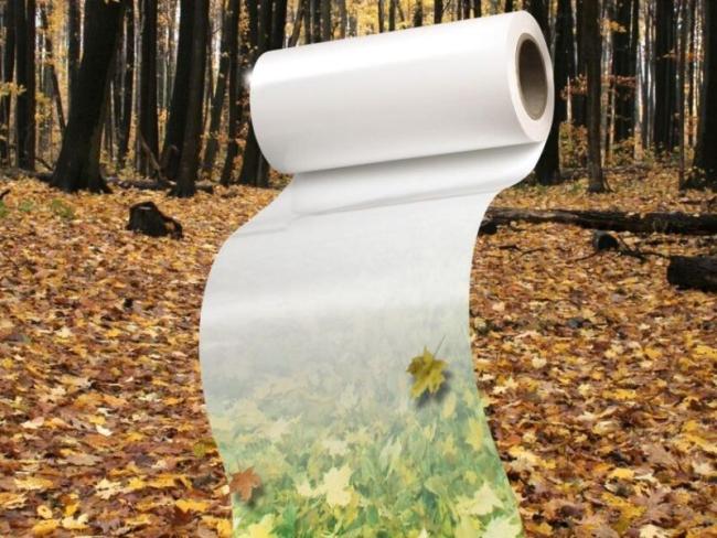 Biodegradable film