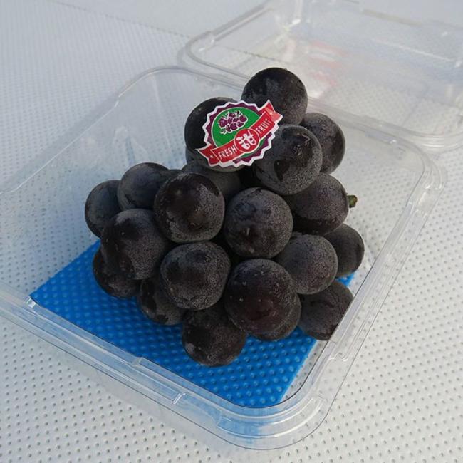 Produce Absorbent Pads