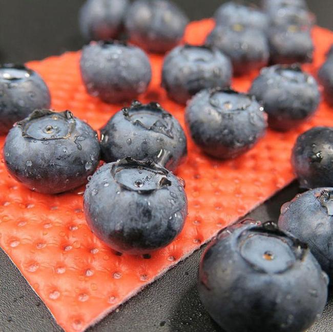 Blueberry Absorbent Pads