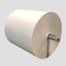 PE coated white kraft paper