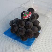 Produce Absorbent Pads